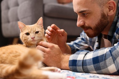 Man petting cute ginger cat on floor at home