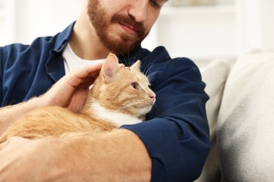 Man petting cute ginger cat on sofa at home, closeup