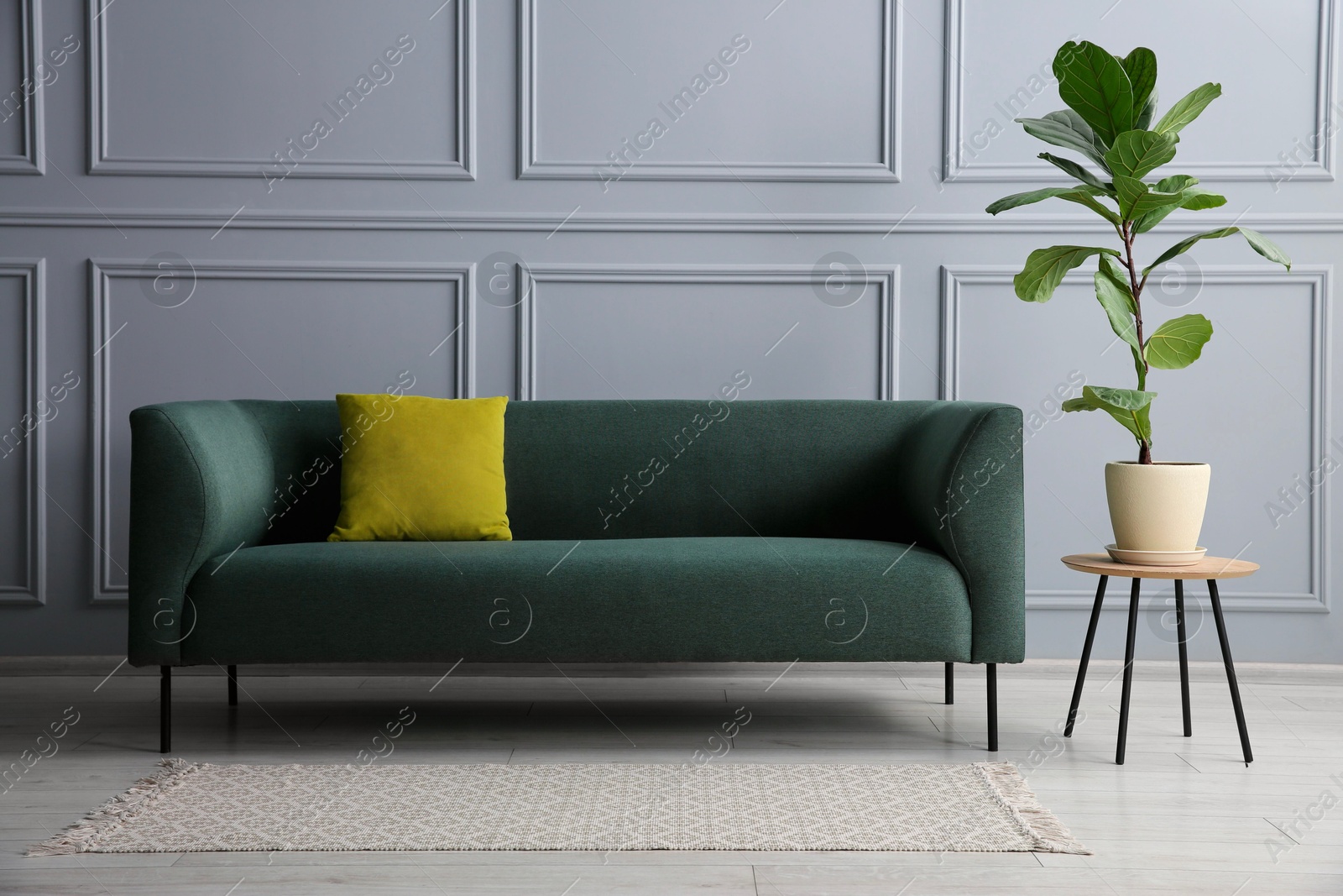 Photo of Stylish sofa with cushion and green plant on side table near grey wall