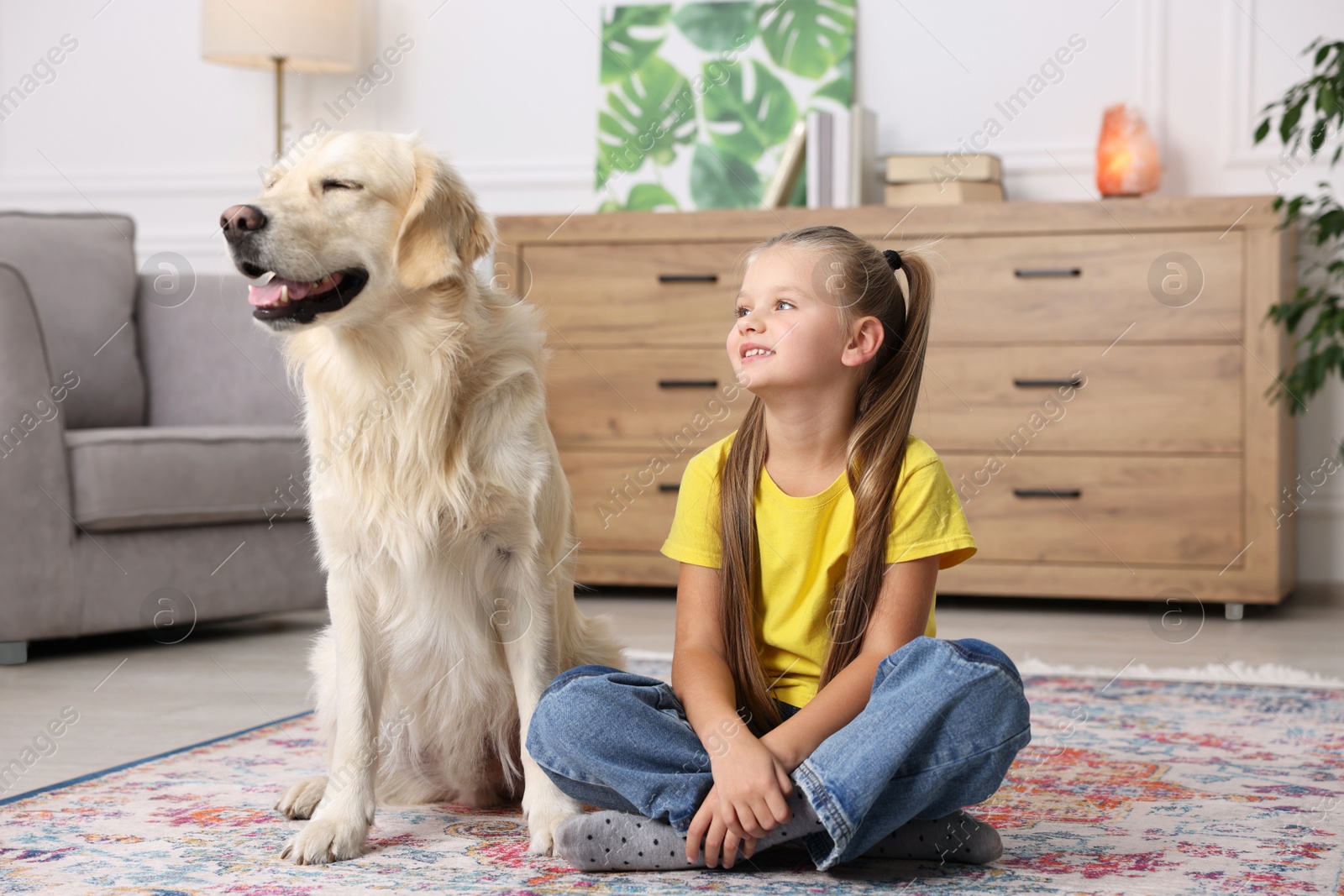 Photo of Girl with her cute Golden Retriever dog on rug at home