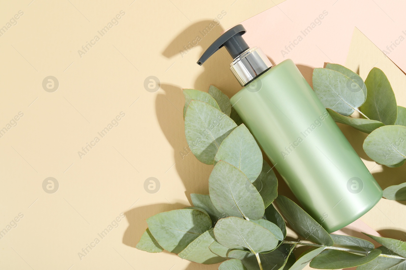 Photo of Shampoo in bottle and green eucalyptus leaves on color background, top view. Space for text