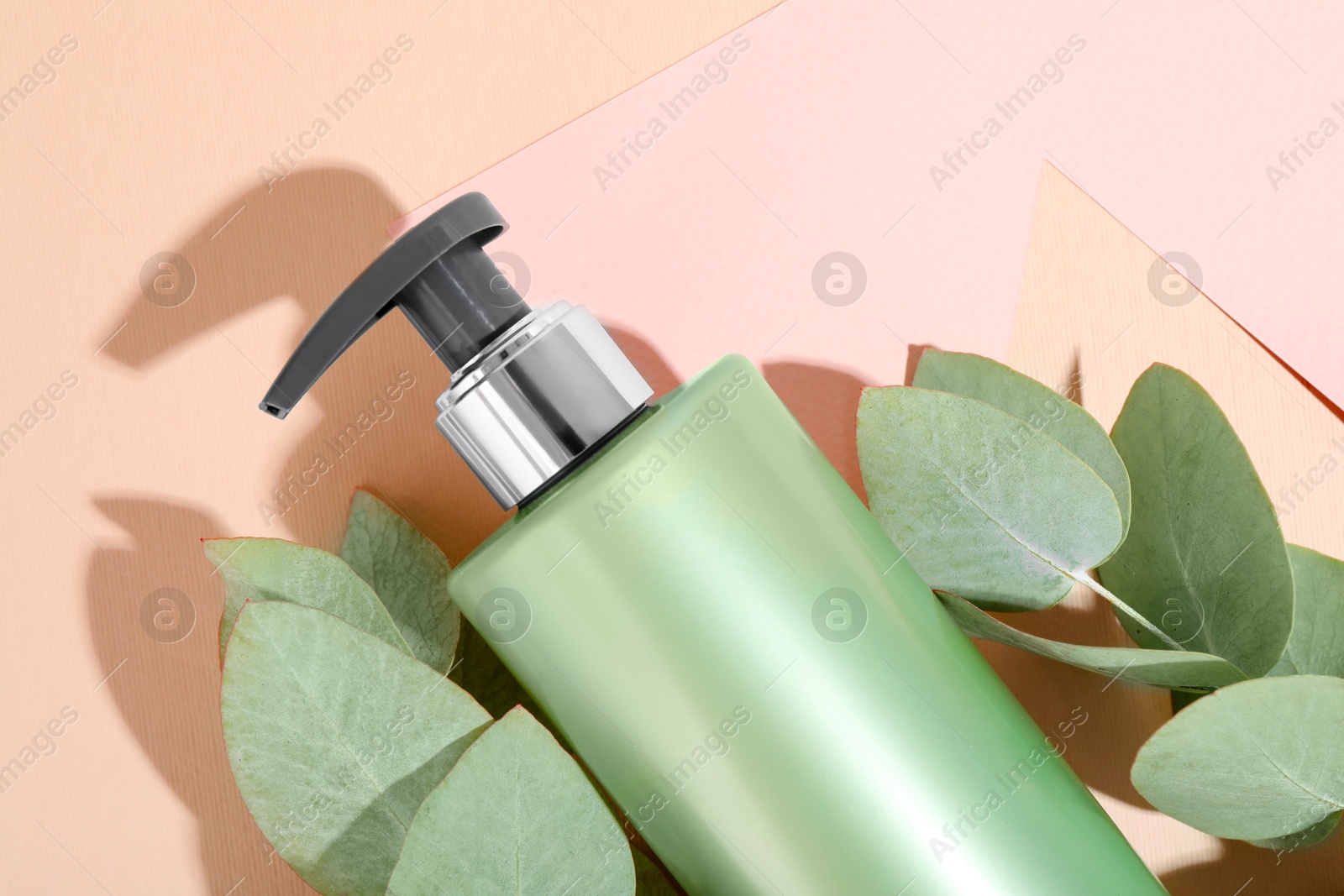 Photo of Shampoo in bottle and green eucalyptus leaves on color background, top view