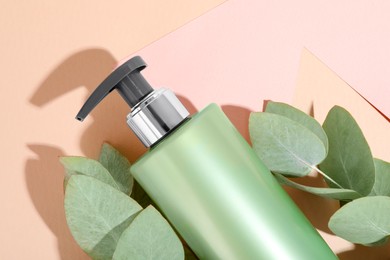 Photo of Shampoo in bottle and green eucalyptus leaves on color background, top view