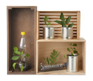 Photo of Recycling concept. Wooden crates with plants in bottles and cans isolated on white