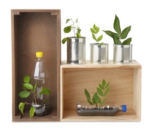 Photo of Recycling concept. Wooden crates with plants in bottles and cans isolated on white