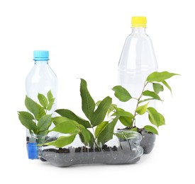 Photo of Recycling concept. Plastic bottles with plants isolated on white