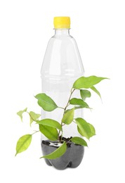 Photo of Recycling concept. Plastic bottle with plant isolated on white