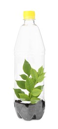 Photo of Recycling concept. Plastic bottle with plant isolated on white