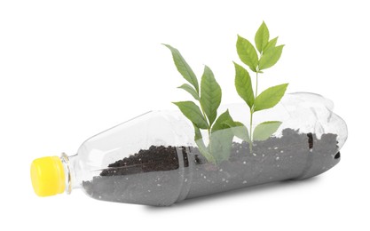 Photo of Recycling concept. Plastic bottle with plant isolated on white