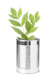 Photo of Recycling concept. Metal can with plant isolated on white