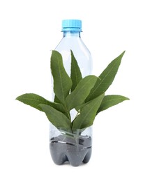 Photo of Recycling concept. Plastic bottle with plant isolated on white