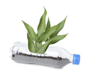 Photo of Recycling concept. Plastic bottle with plant isolated on white