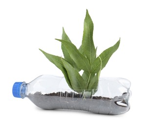 Photo of Recycling concept. Plastic bottle with plant isolated on white