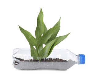 Photo of Recycling concept. Plastic bottle with plant isolated on white