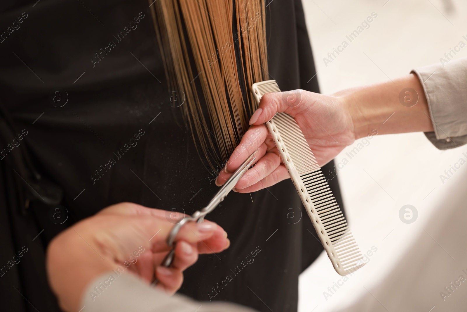 Photo of Hairdresser cutting client's hair with scissors in salon, closeup