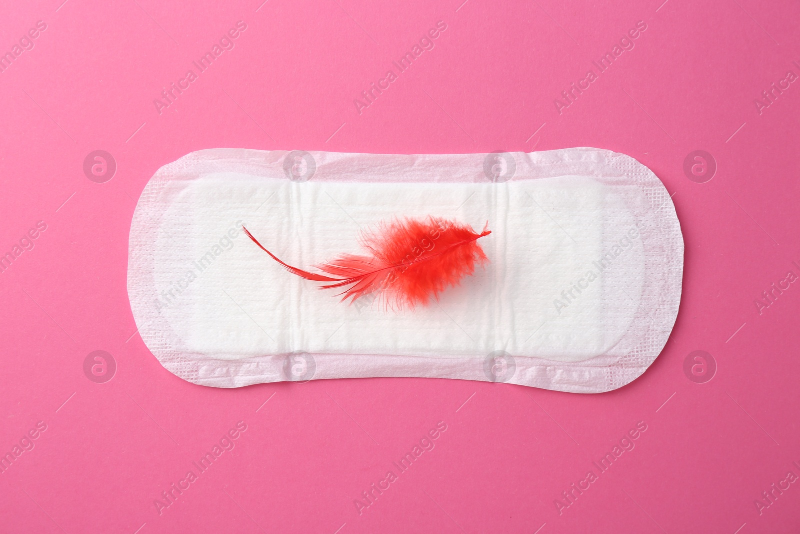 Photo of Menstrual pad with red feather on pink background, top view