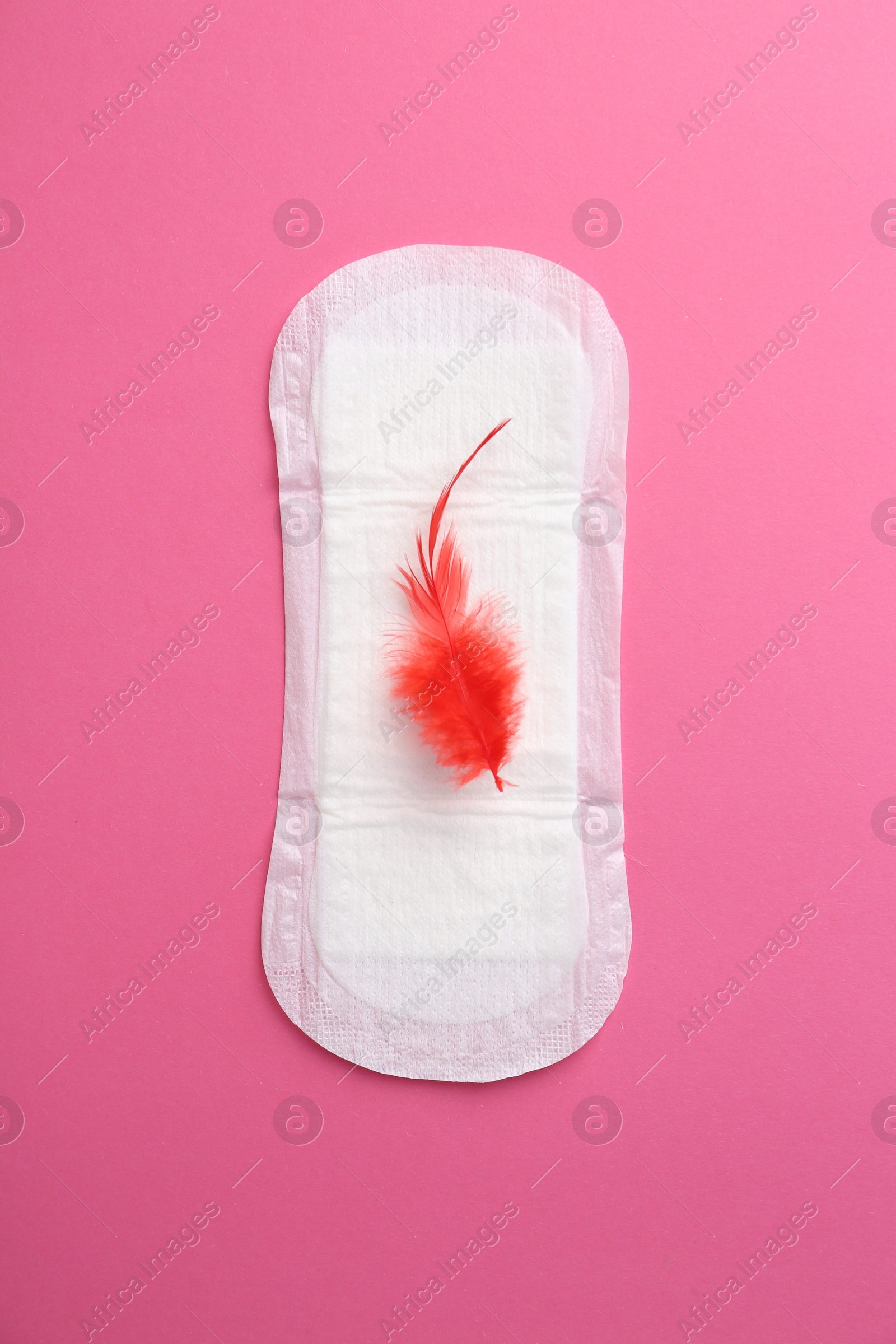 Photo of Menstrual pad with red feather on pink background, top view