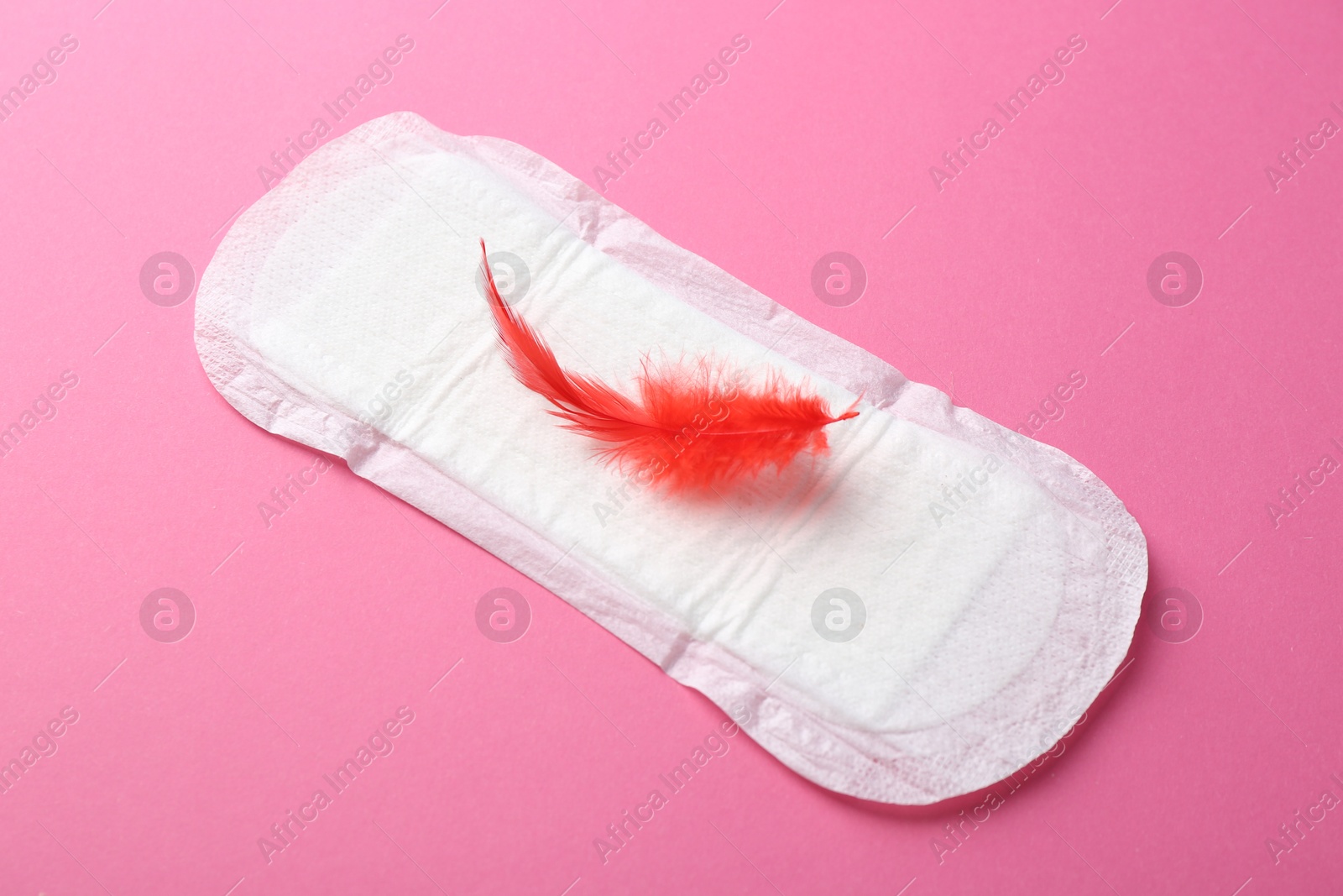 Photo of Menstrual pad with red feather on pink background