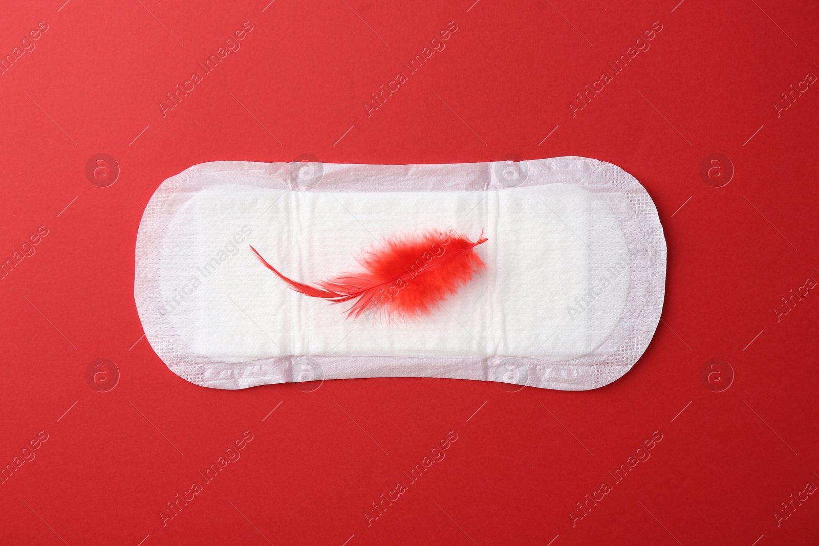 Photo of Menstrual pad with feather on red background, top view