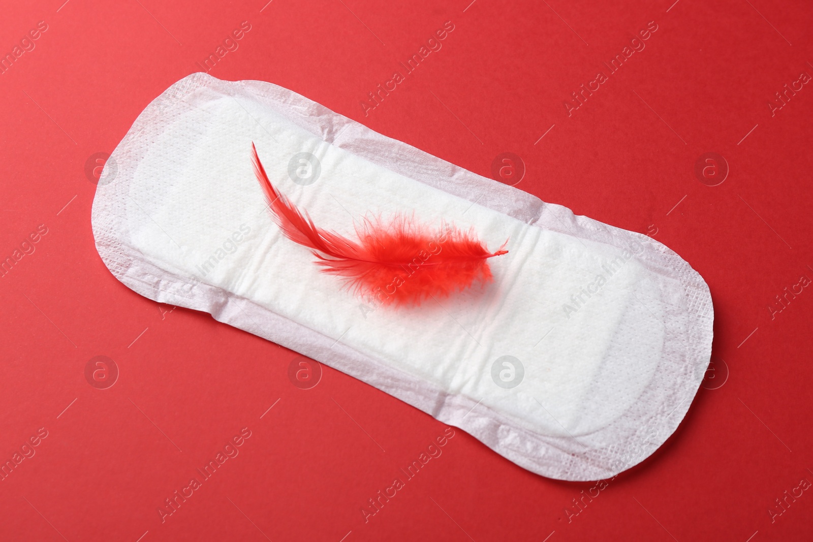 Photo of Menstrual pad with feather on red background, top view