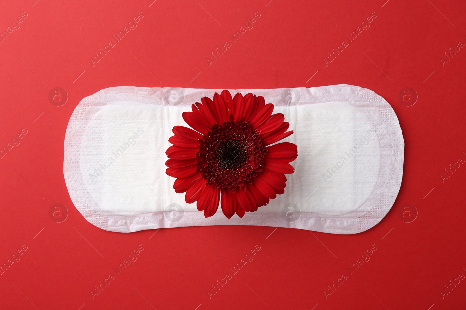 Photo of Menstrual pad with flower on red background, top view