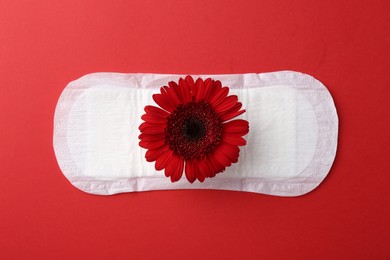 Photo of Menstrual pad with flower on red background, top view