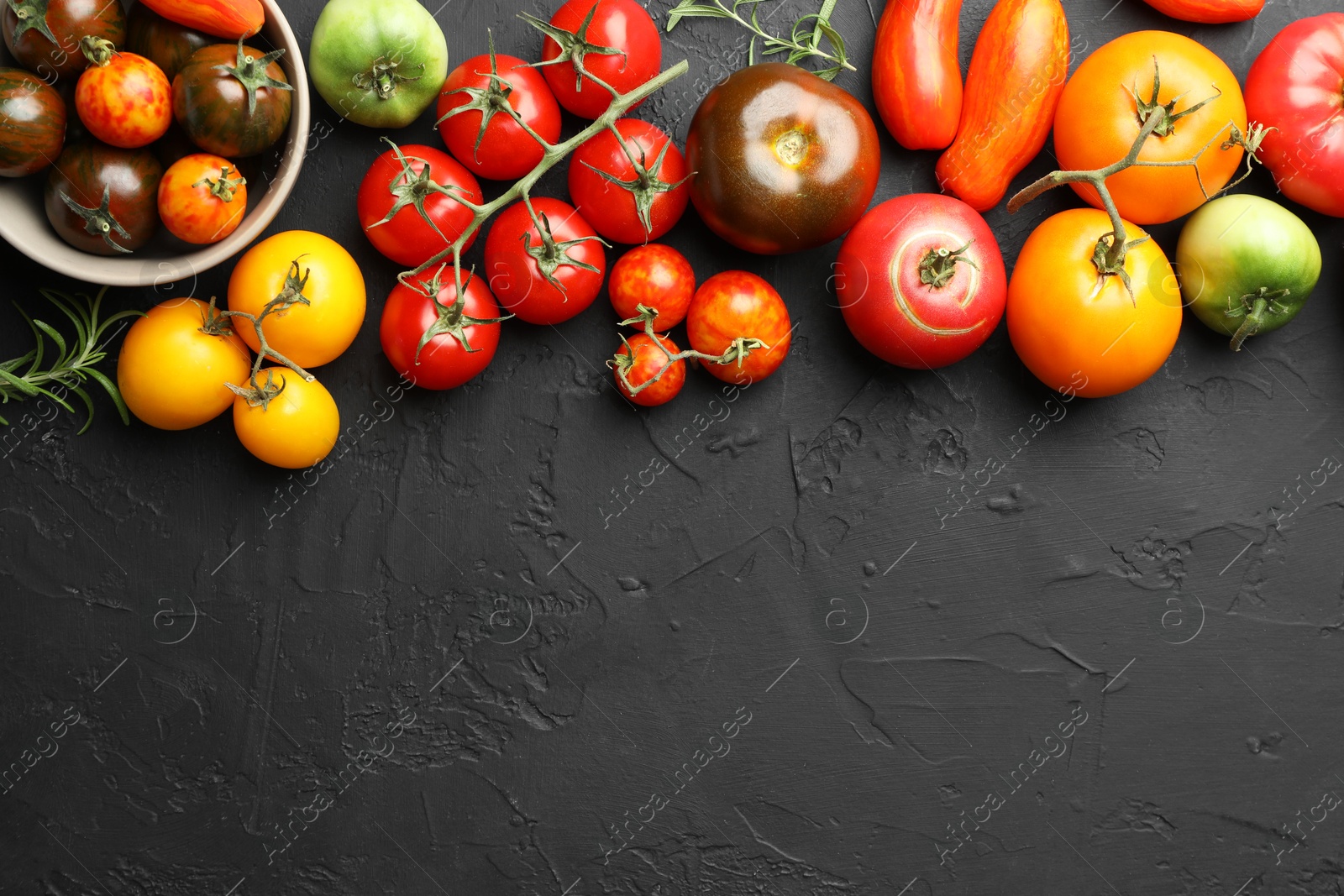 Photo of Different fresh tomatoes and rosemary on grey textured table, flat lay. Space for text