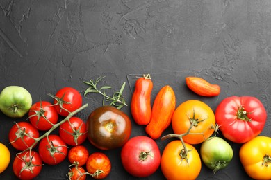 Photo of Different fresh tomatoes and rosemary on grey textured table, flat lay. Space for text