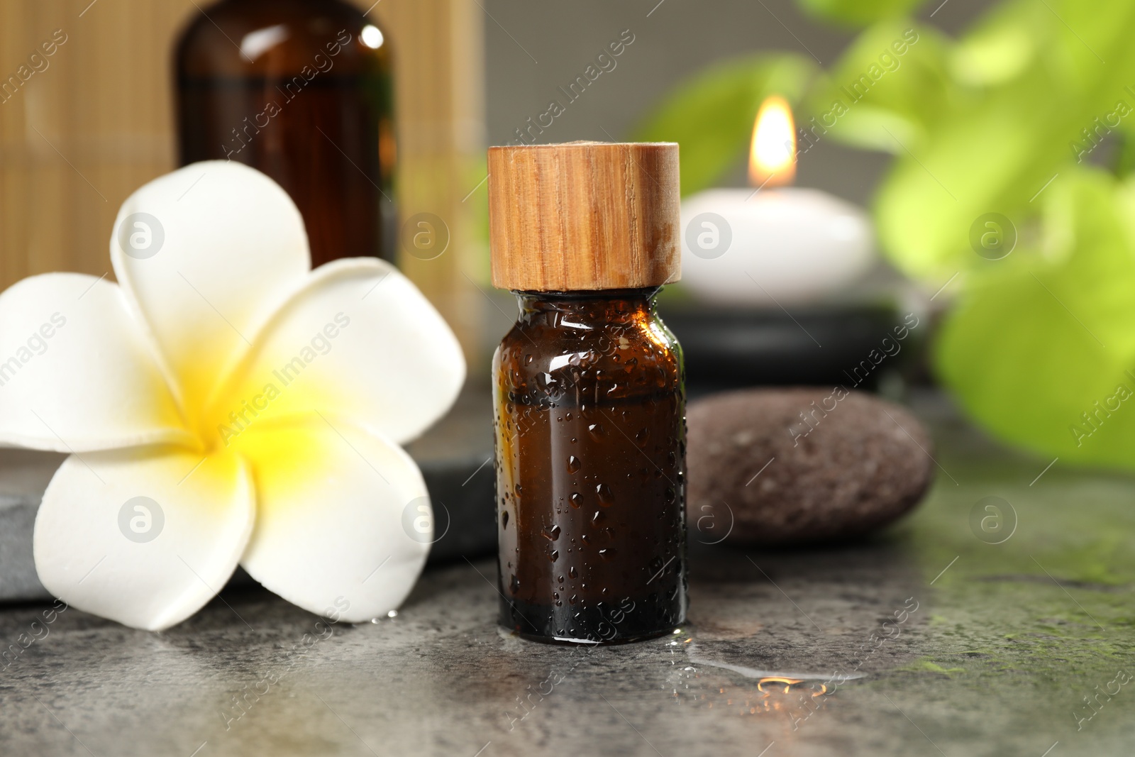 Photo of Spa composition with bottles of cosmetic products, plumeria flower and burning candle on grey table, closeup