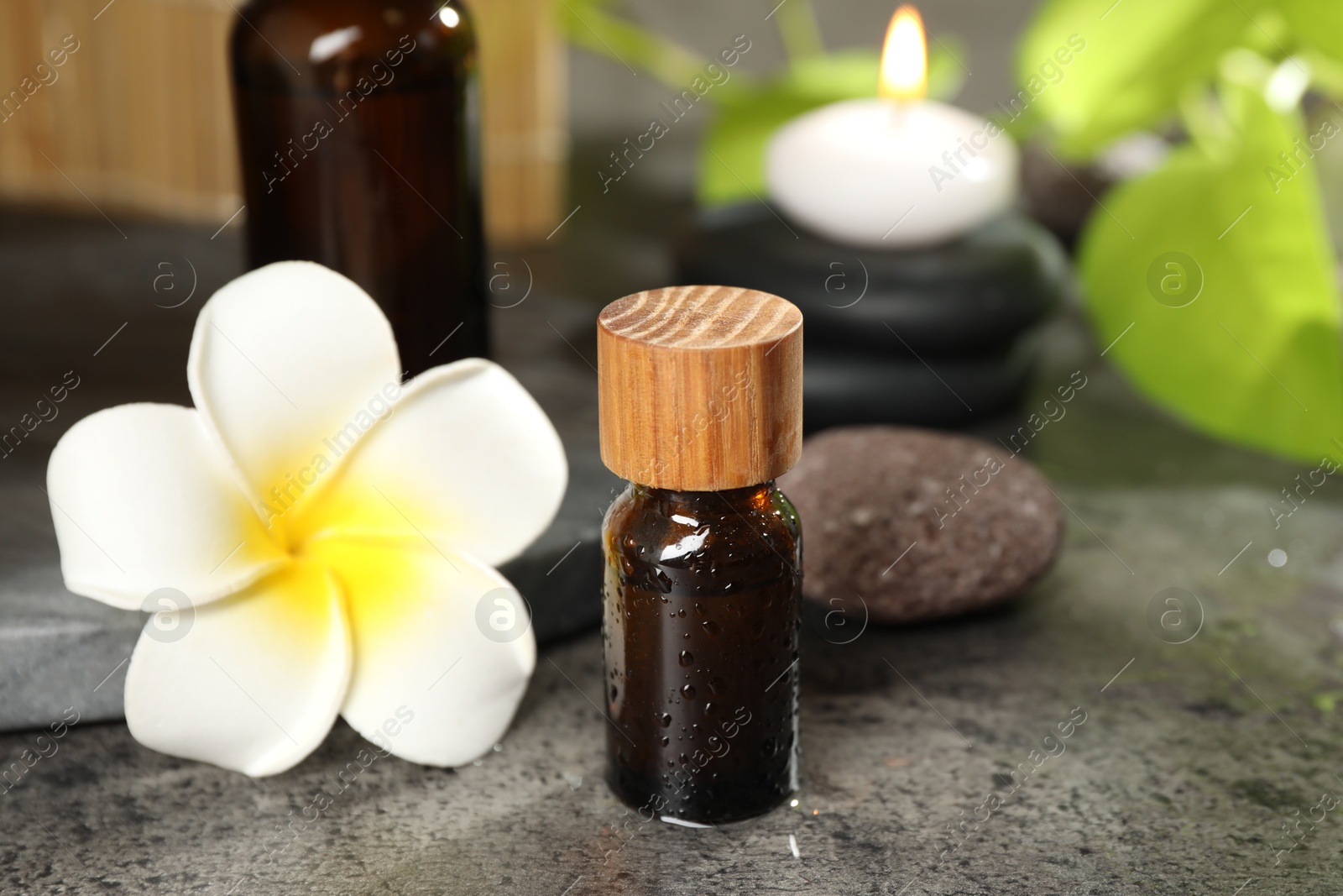 Photo of Spa composition with bottles of cosmetic products, plumeria flower and burning candle on grey table, closeup