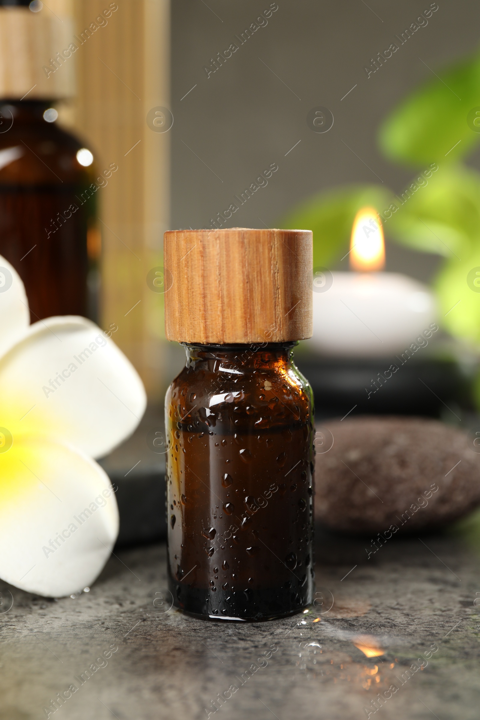 Photo of Spa composition with bottles of cosmetic products, plumeria flower and burning candle on grey table, closeup