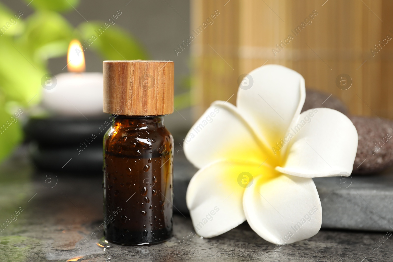 Photo of Spa composition with bottle of cosmetic product, plumeria flower and burning candle on grey table, closeup