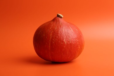 Photo of One fresh ripe pumpkin on orange background