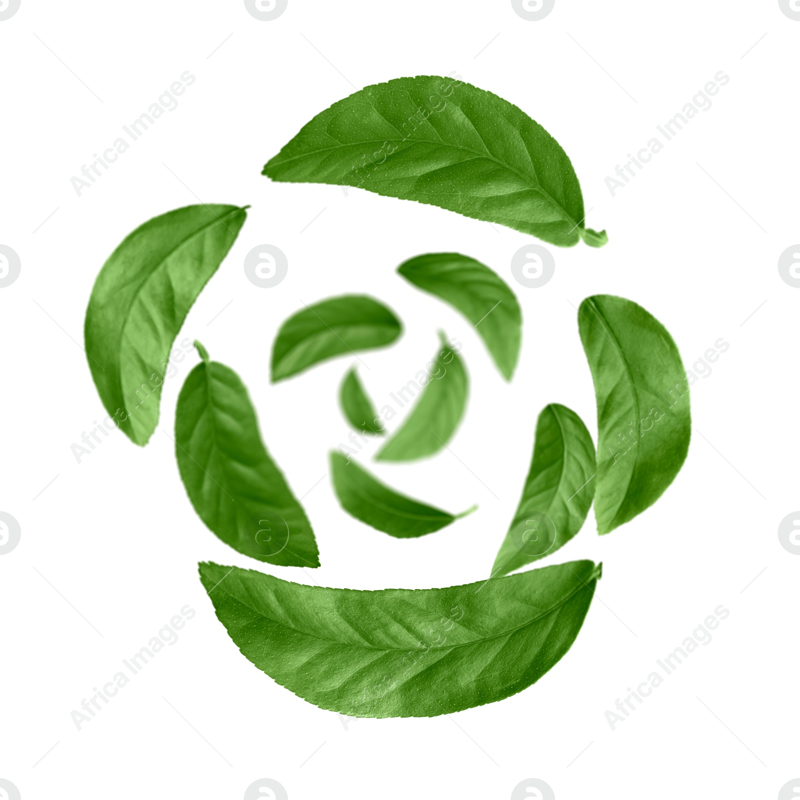 Image of Green leaves swirling in air on white background