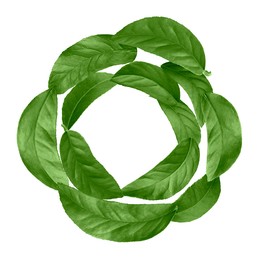 Image of Green leaves swirling in air on white background