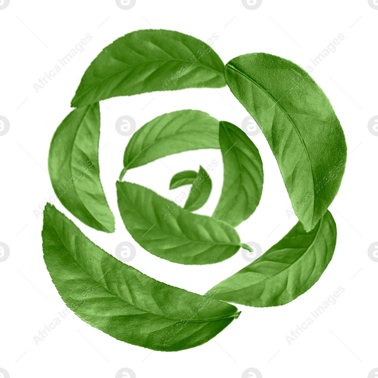 Image of Green leaves swirling in air on white background