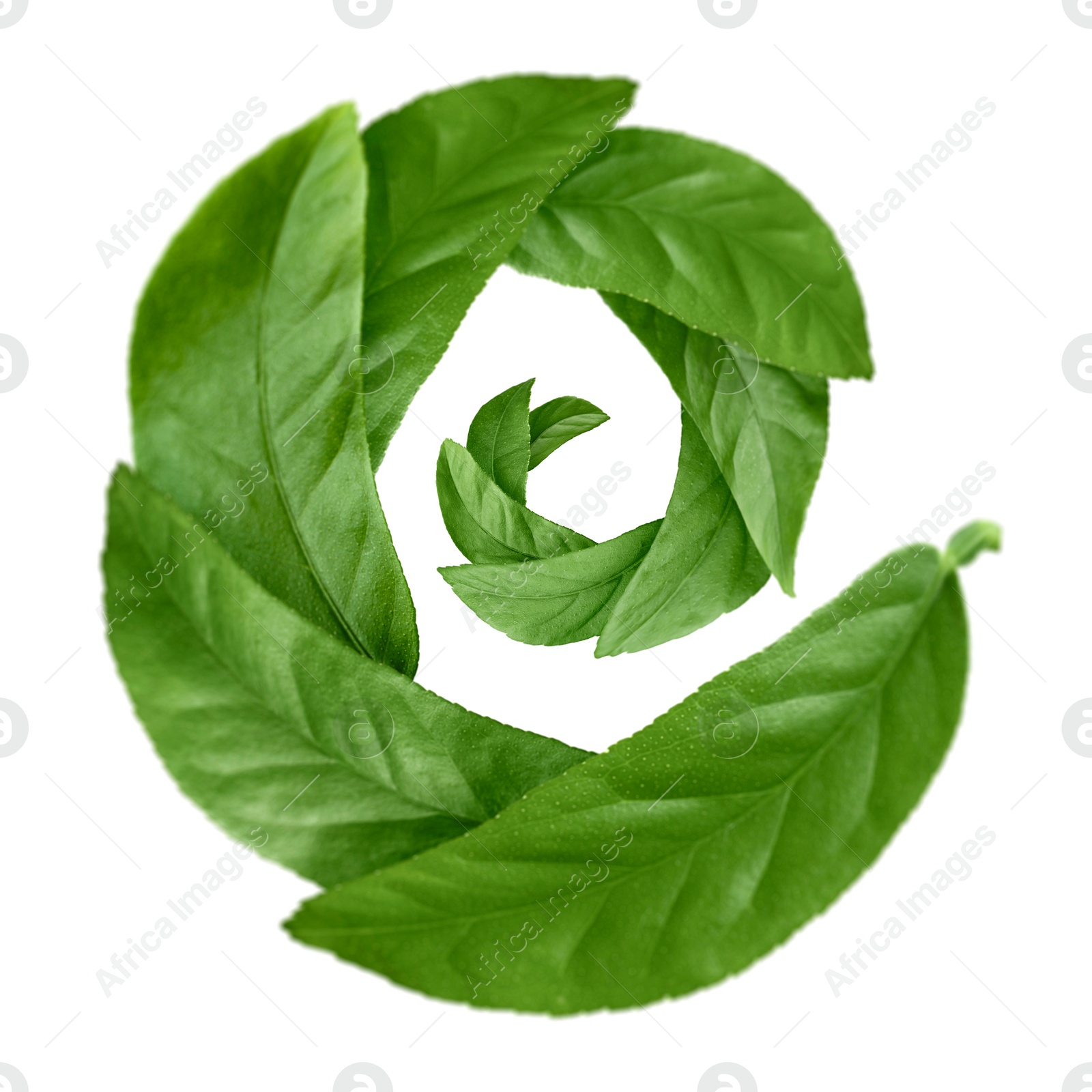 Image of Green leaves swirling in air on white background