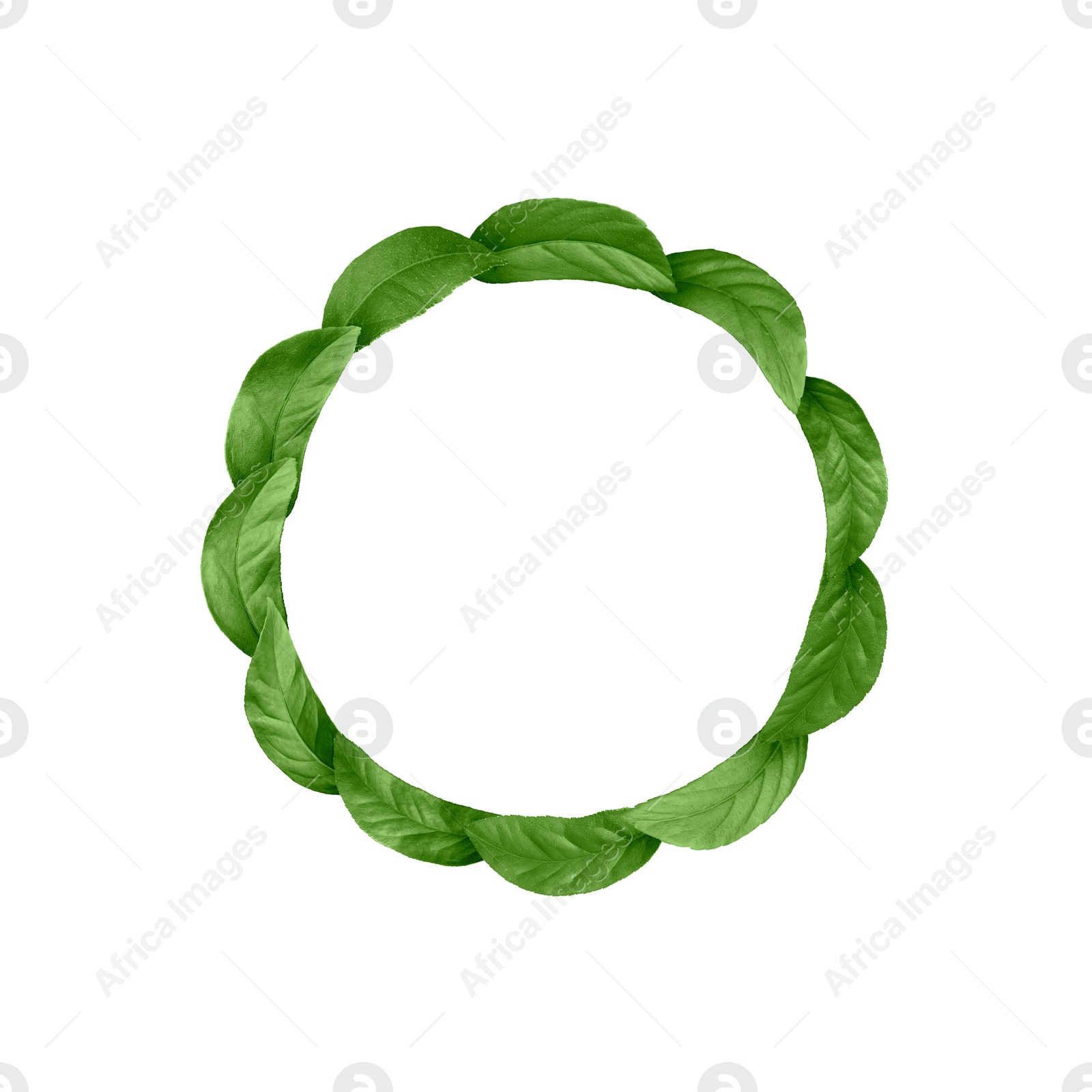 Image of Circle of green leaves on white background