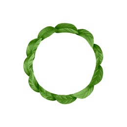 Image of Circle of green leaves on white background