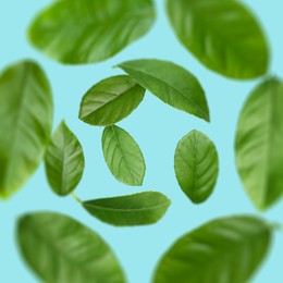 Image of Green leaves swirling in air on light blue background