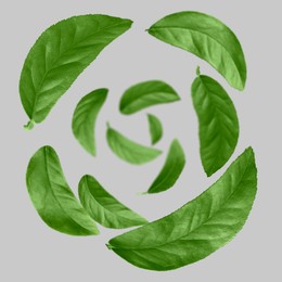 Image of Green leaves swirling in air on light grey background