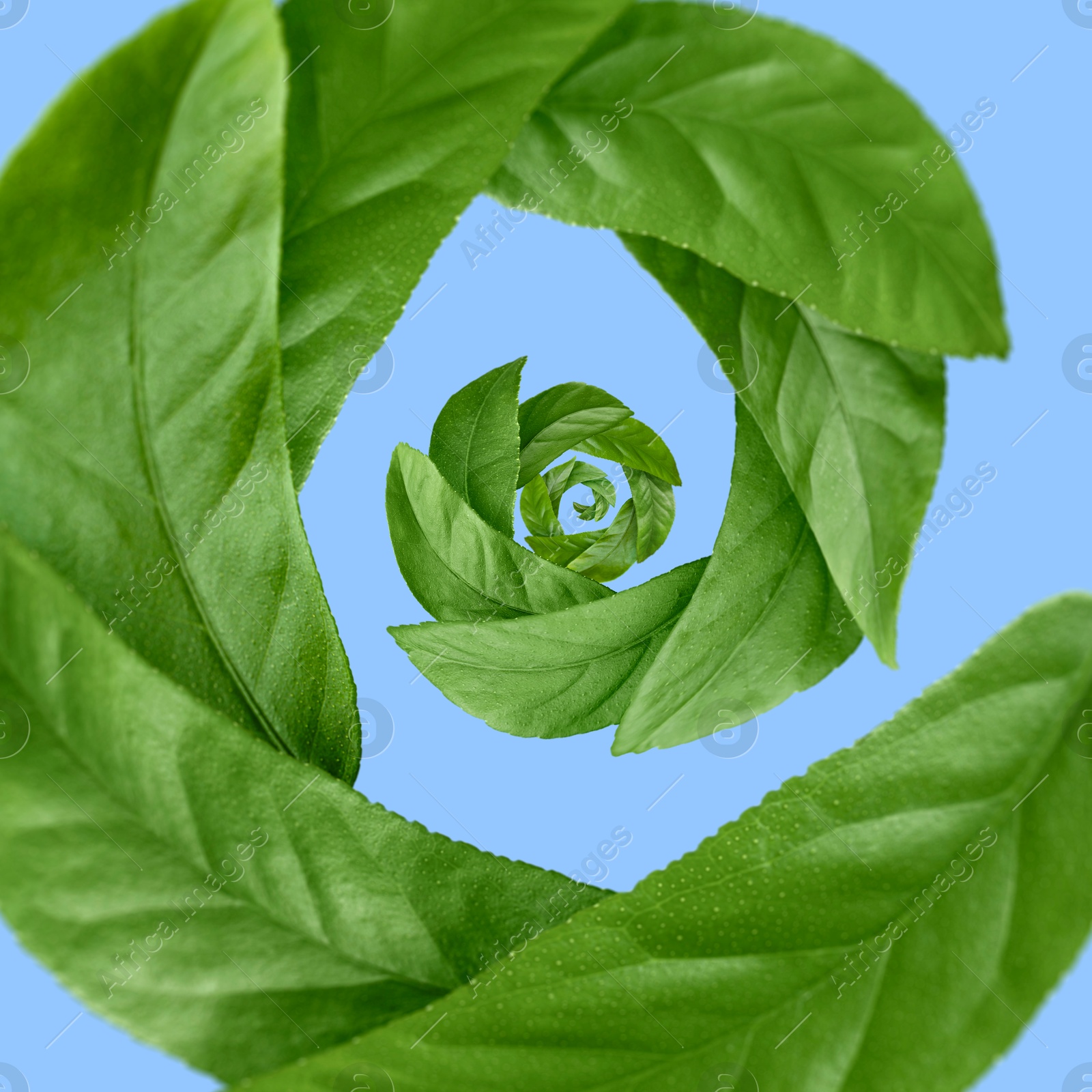 Image of Green leaves swirling in air on light blue background