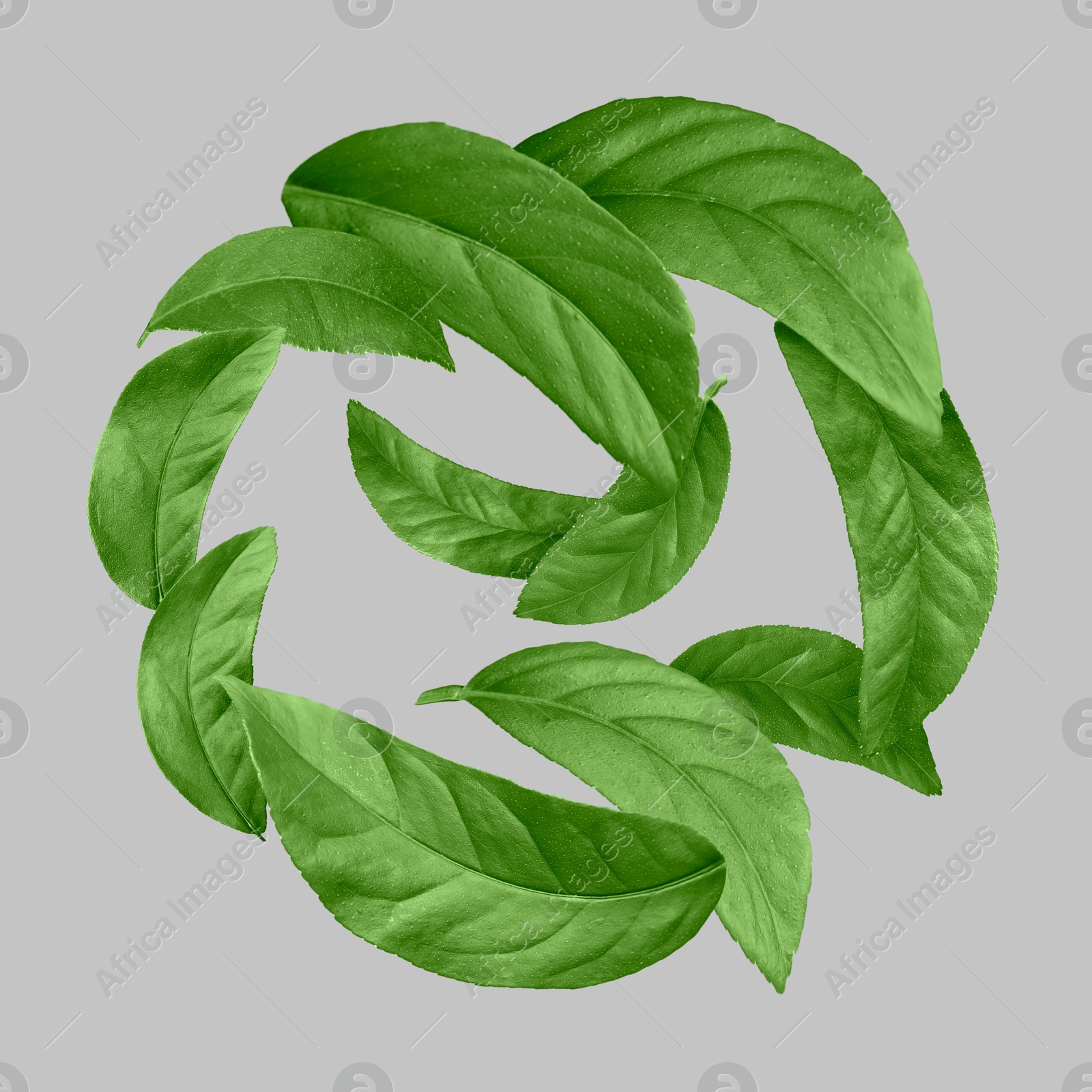 Image of Green leaves swirling in air on light grey background