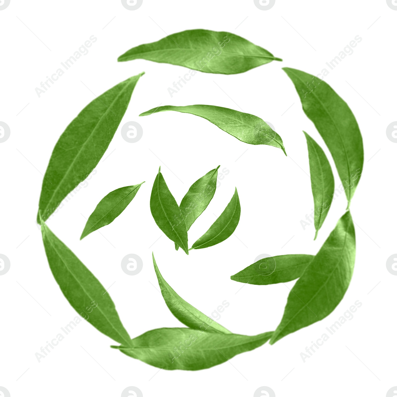 Image of Green leaves swirling in air on white background