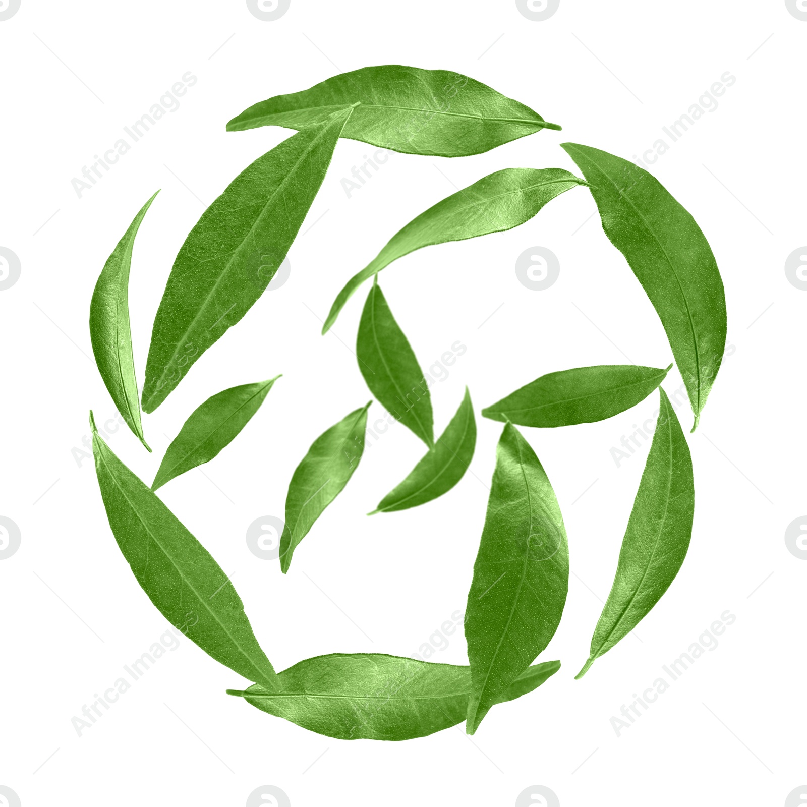 Image of Green leaves swirling in air on white background