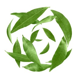 Image of Green leaves swirling in air on white background