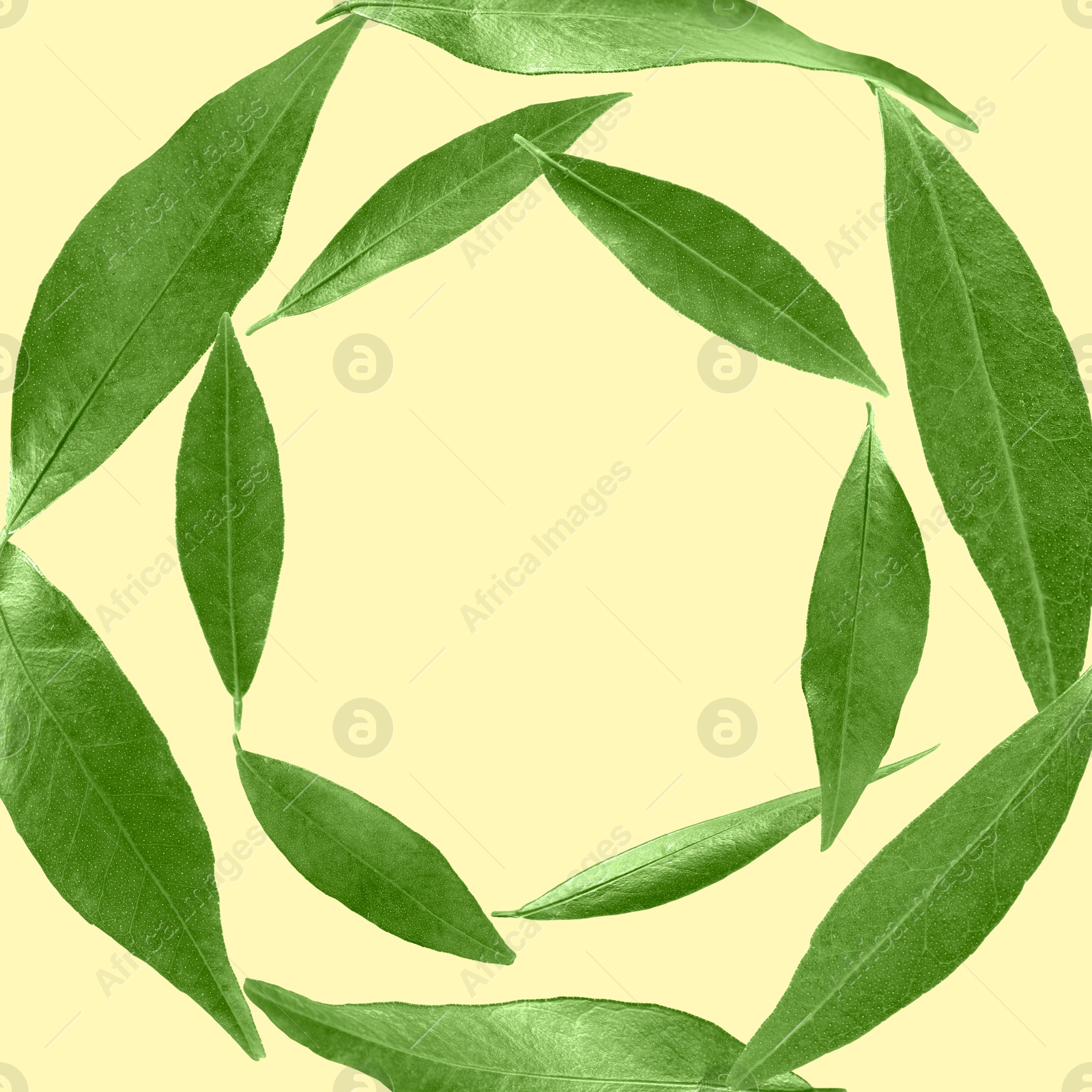 Image of Green leaves swirling in air on pale yellow background