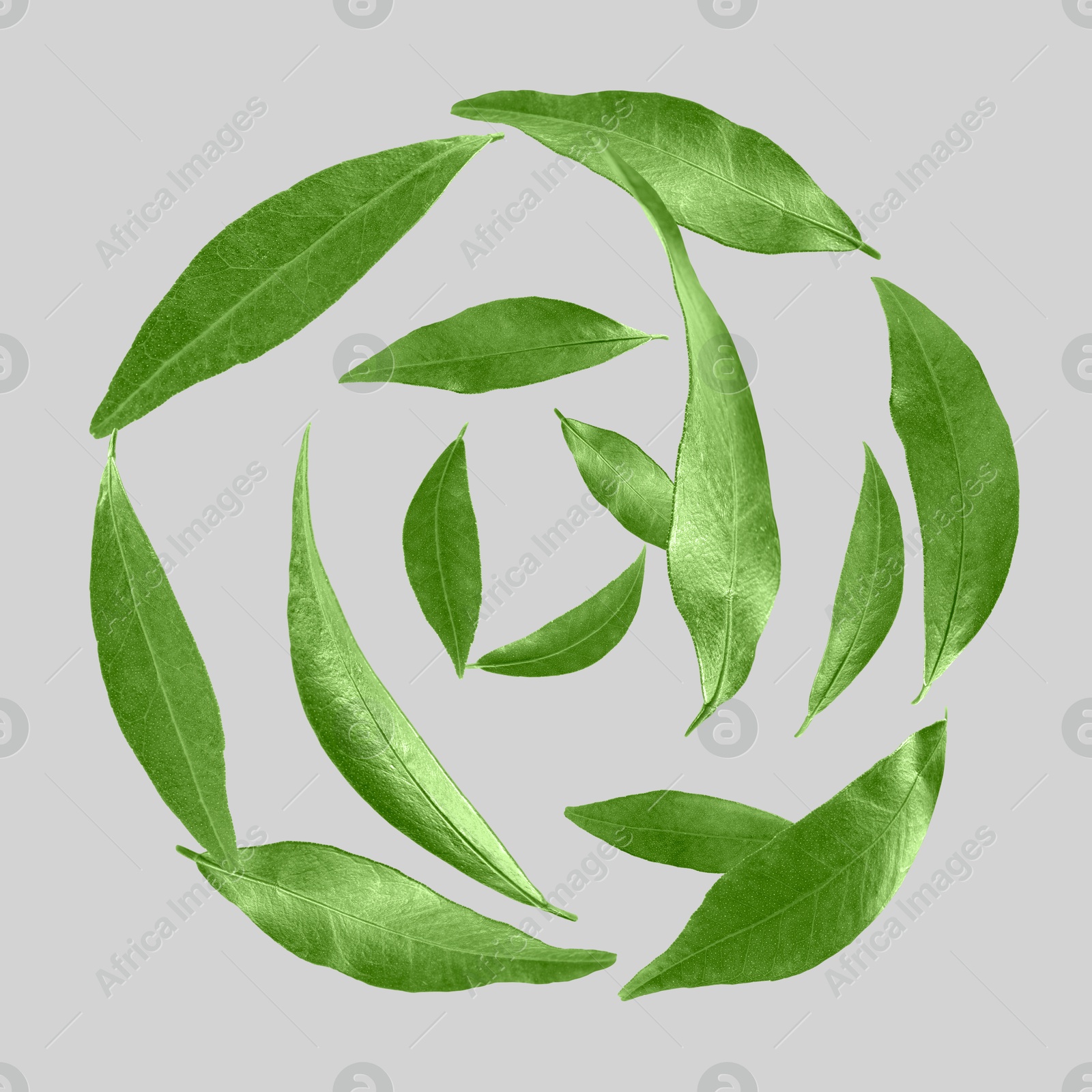 Image of Green leaves swirling in air on light grey background