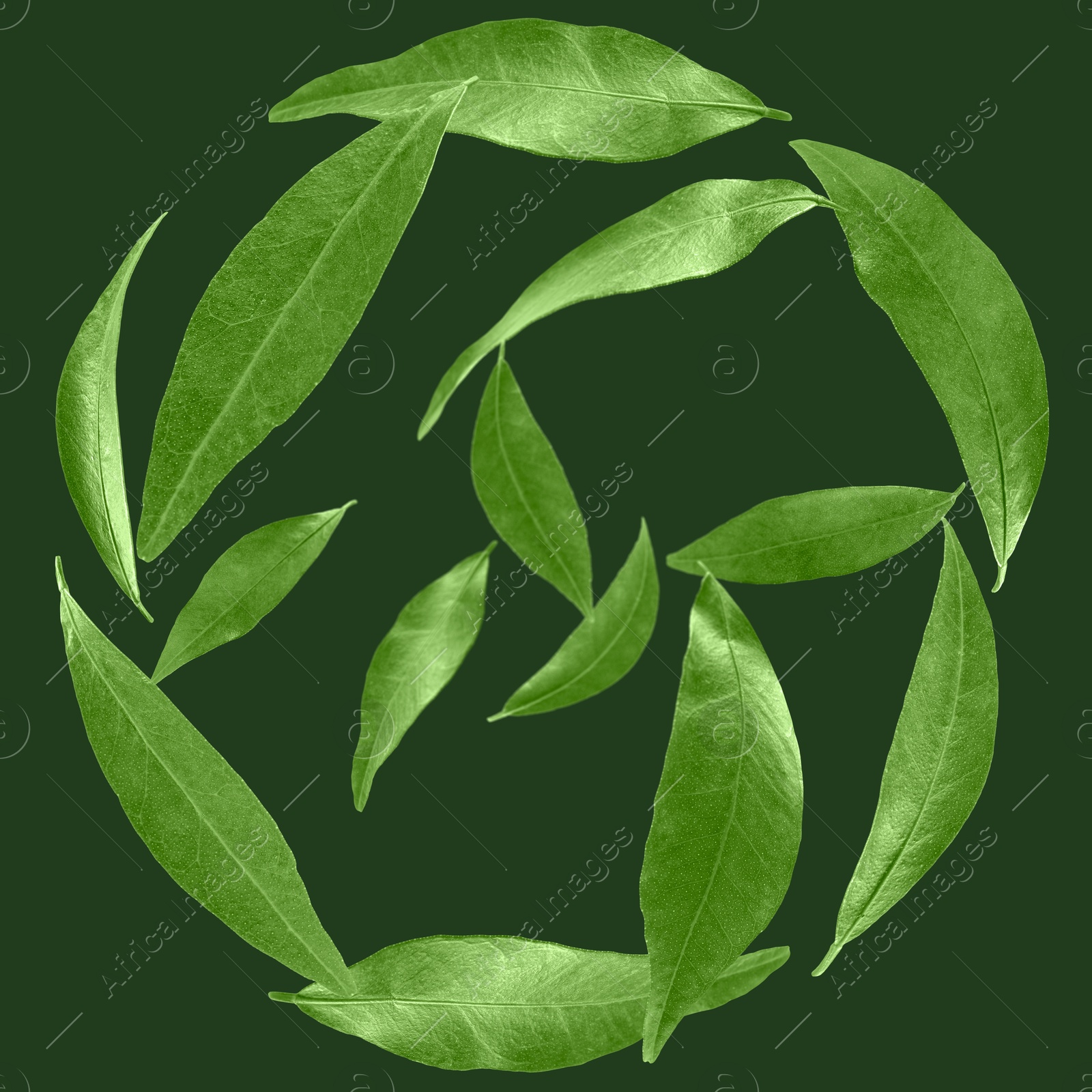 Image of Many leaves swirling in air on green background