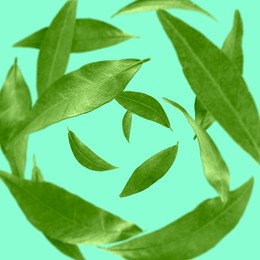 Image of Green leaves swirling in air on turquoise background